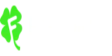 Fortunica Casino